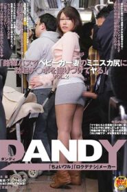 DANDY-333